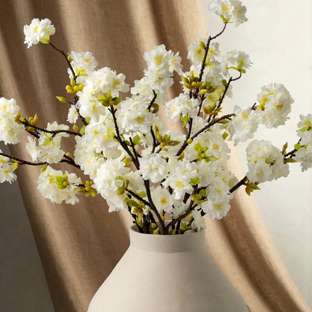 Cherry Blossom Branch