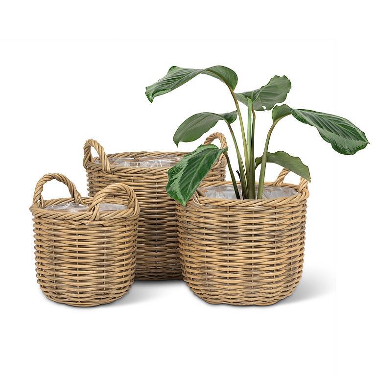 Plant Baskets
