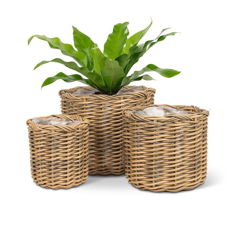 Plant Baskets
