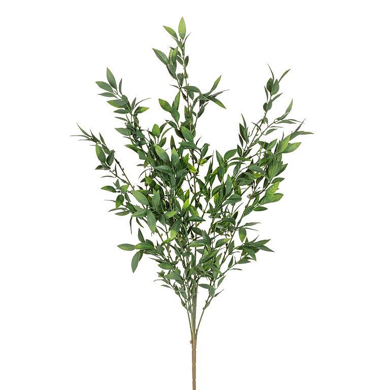 Leafy Stem