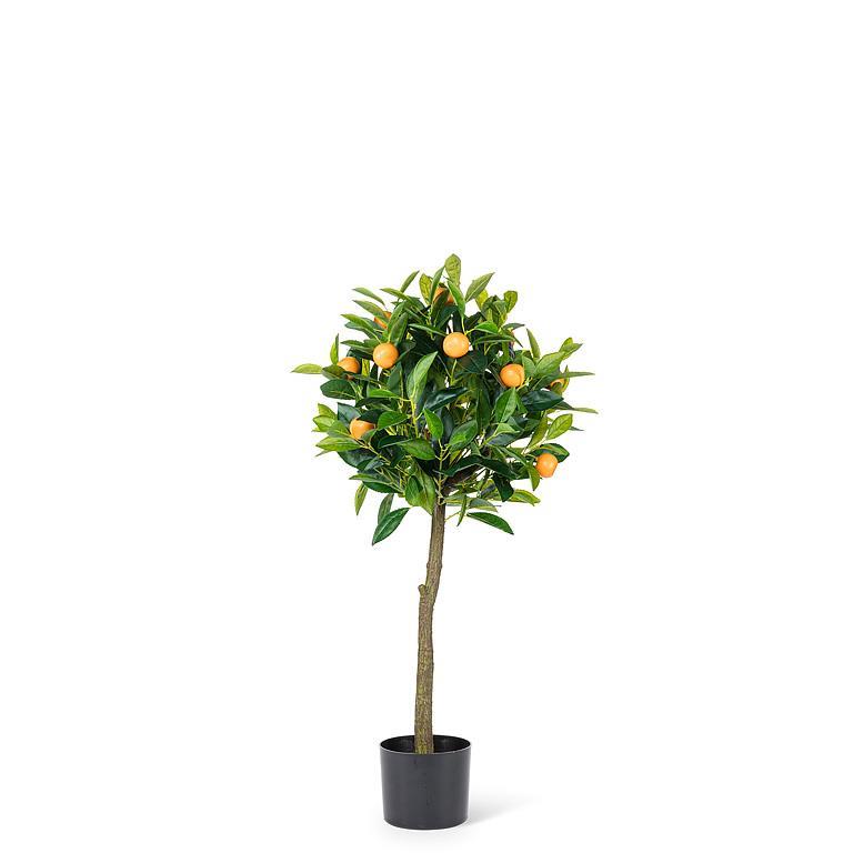 Orange Topiary Tree