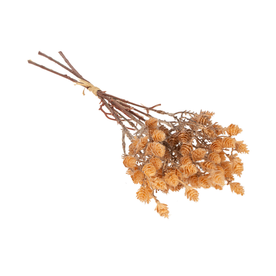Wild Grass