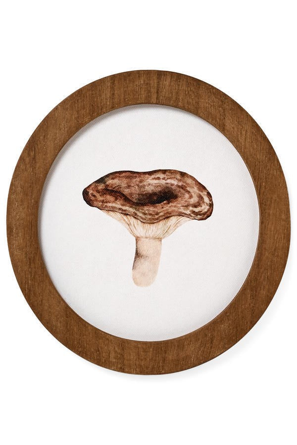 Mushroom Art Prints