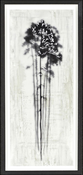 CONIFEROUS OVERLAY II