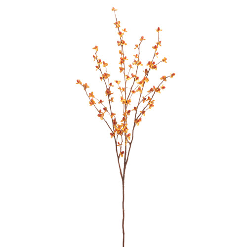 Orange Bittersweet Spray