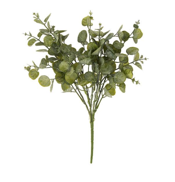 Eucalyptus Spray
