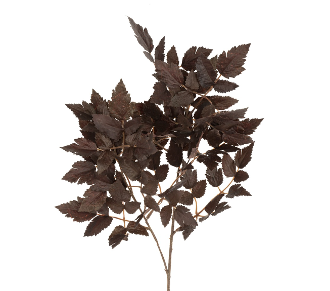 Plum Tree Branch