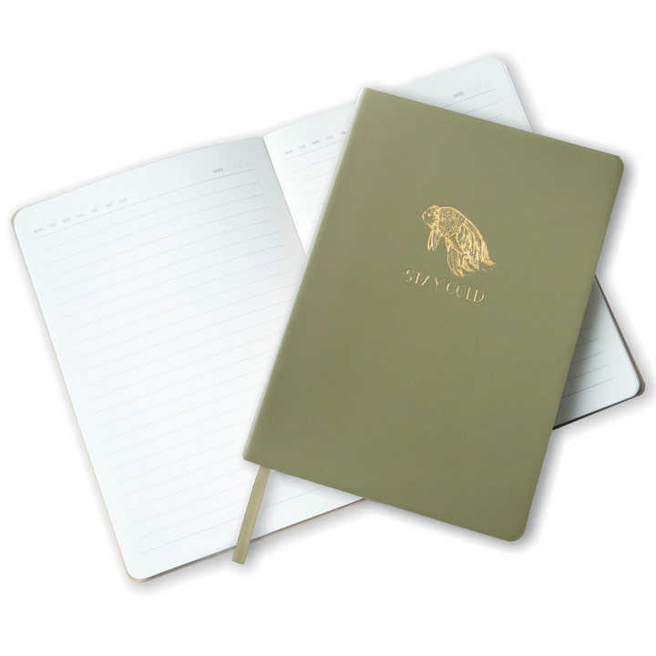 Journal | Stay Gold