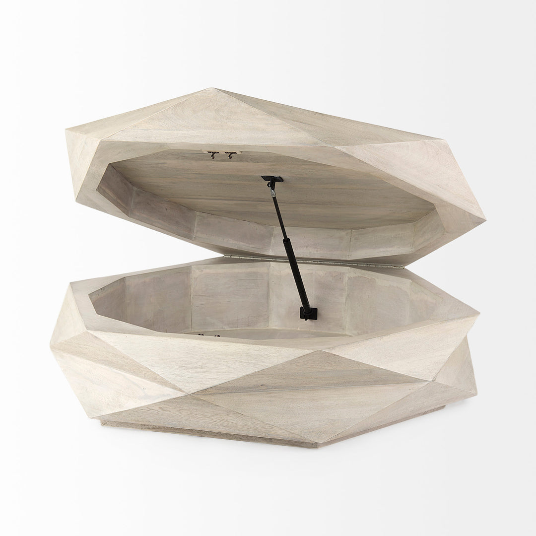 Arreto Storage Coffee Table