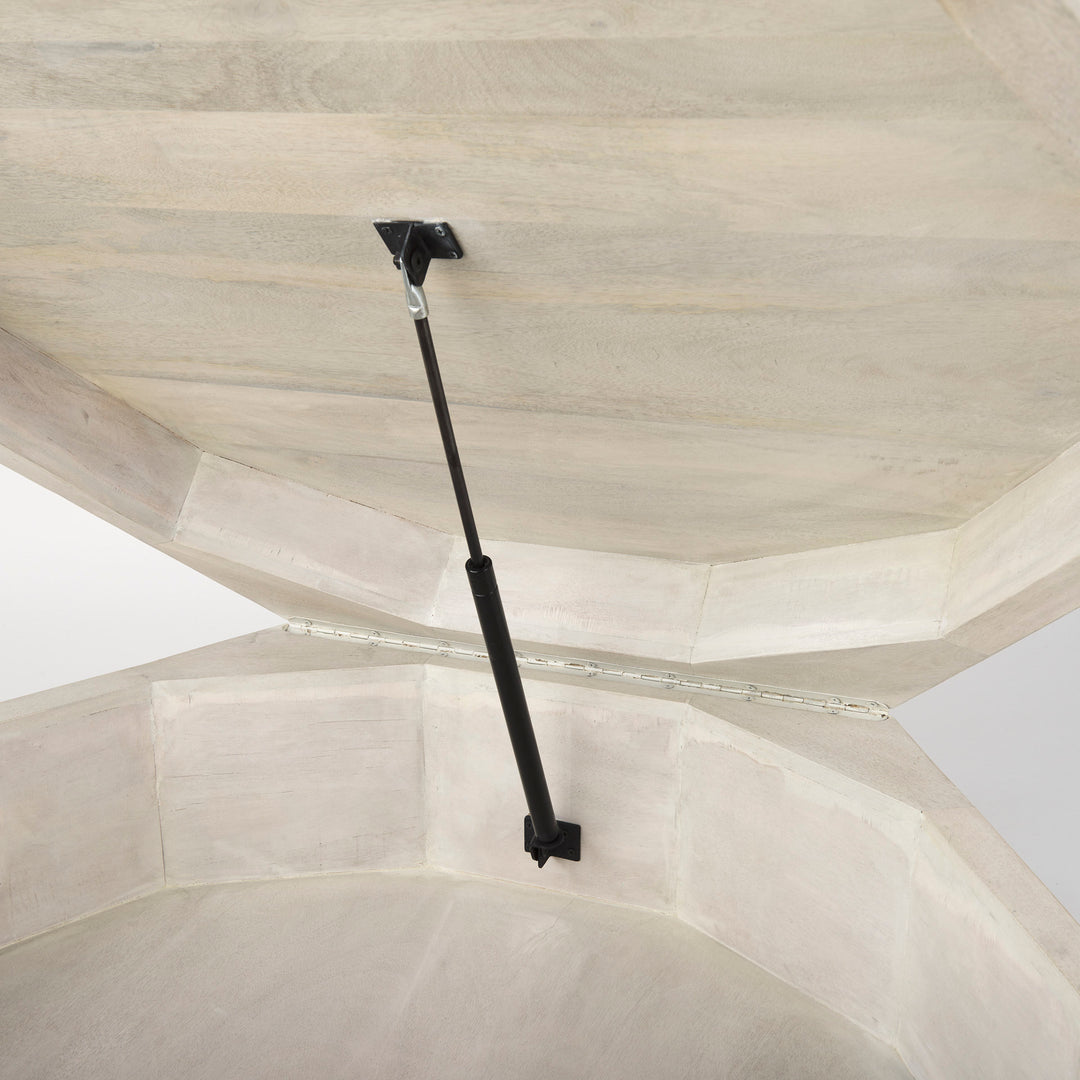 Arreto Storage Coffee Table