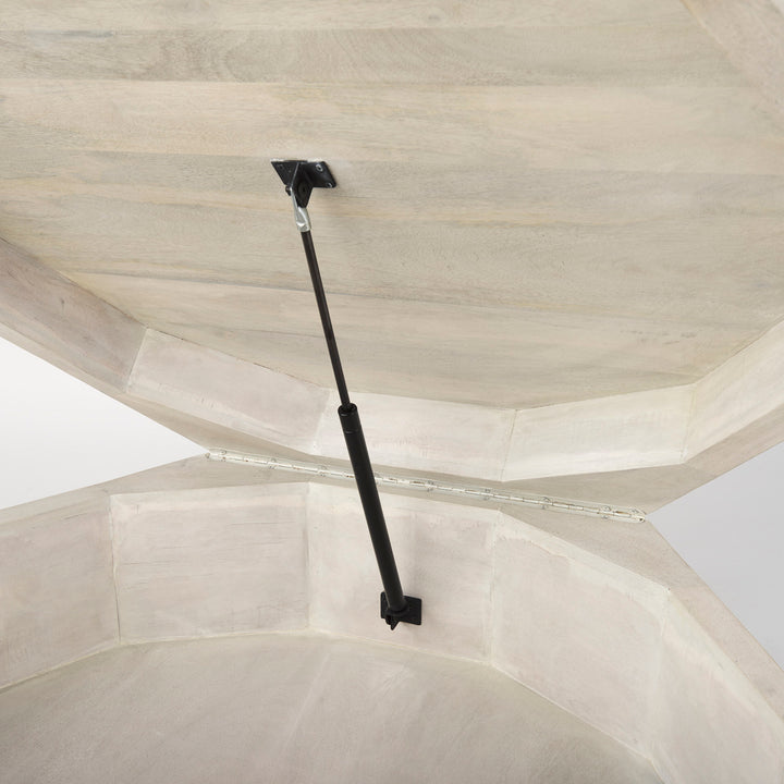 Arreto Storage Coffee Table