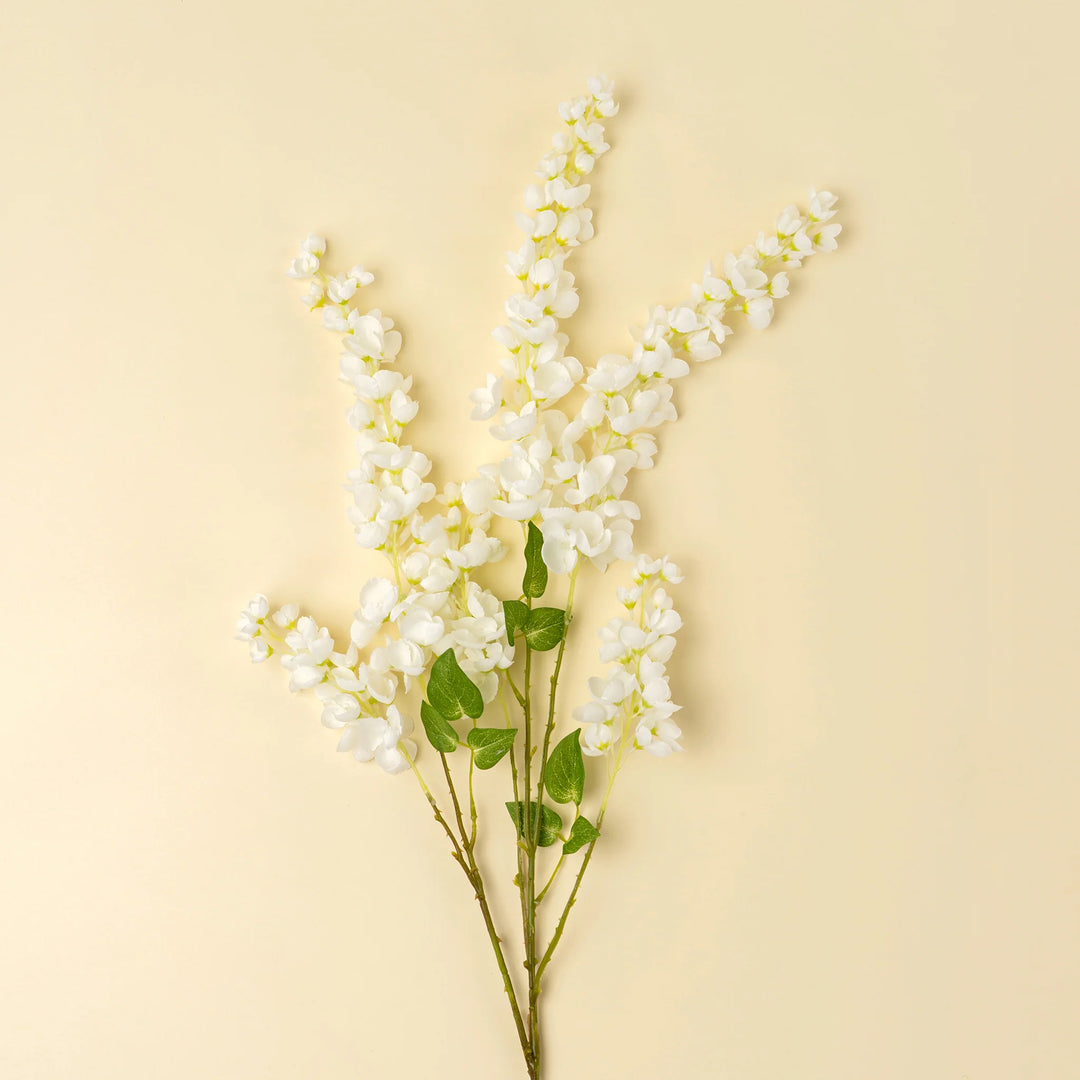 White Wisteria