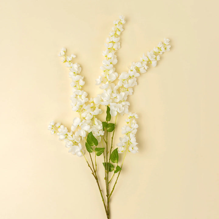 White Wisteria
