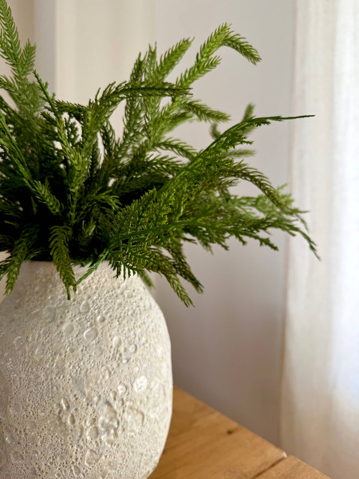 Norfolk and Cedar Bundles