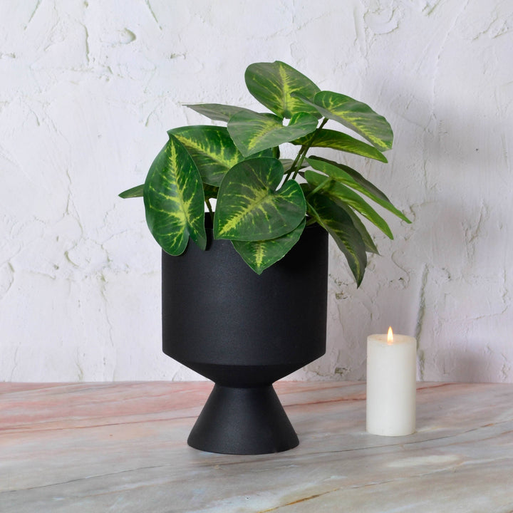 Ebony Planter