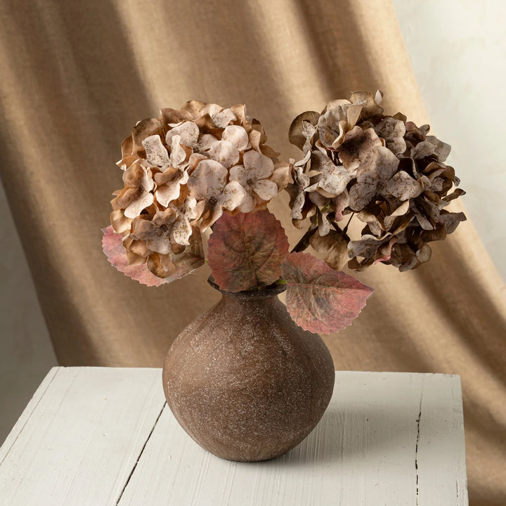 Faded Hydrangea Stem