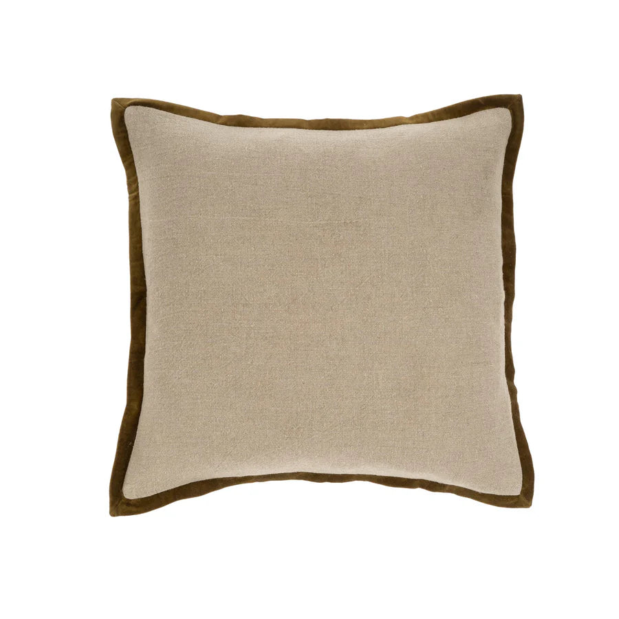 Velvet Trim Pillow