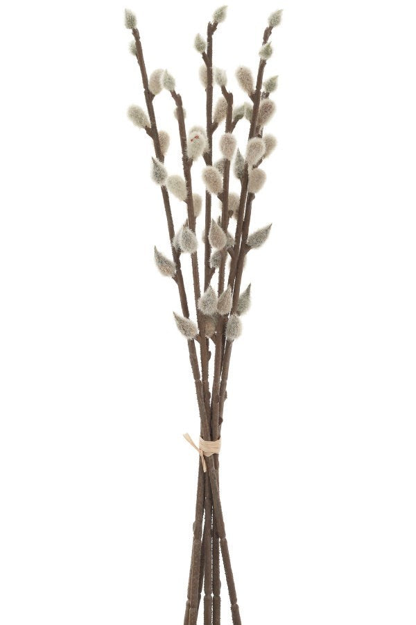 Pussy willow Bouquet