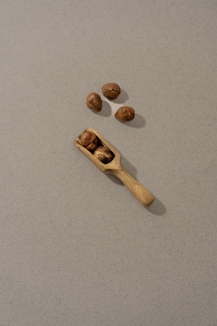 Natural Olive Wood Scoop | Handcrafted