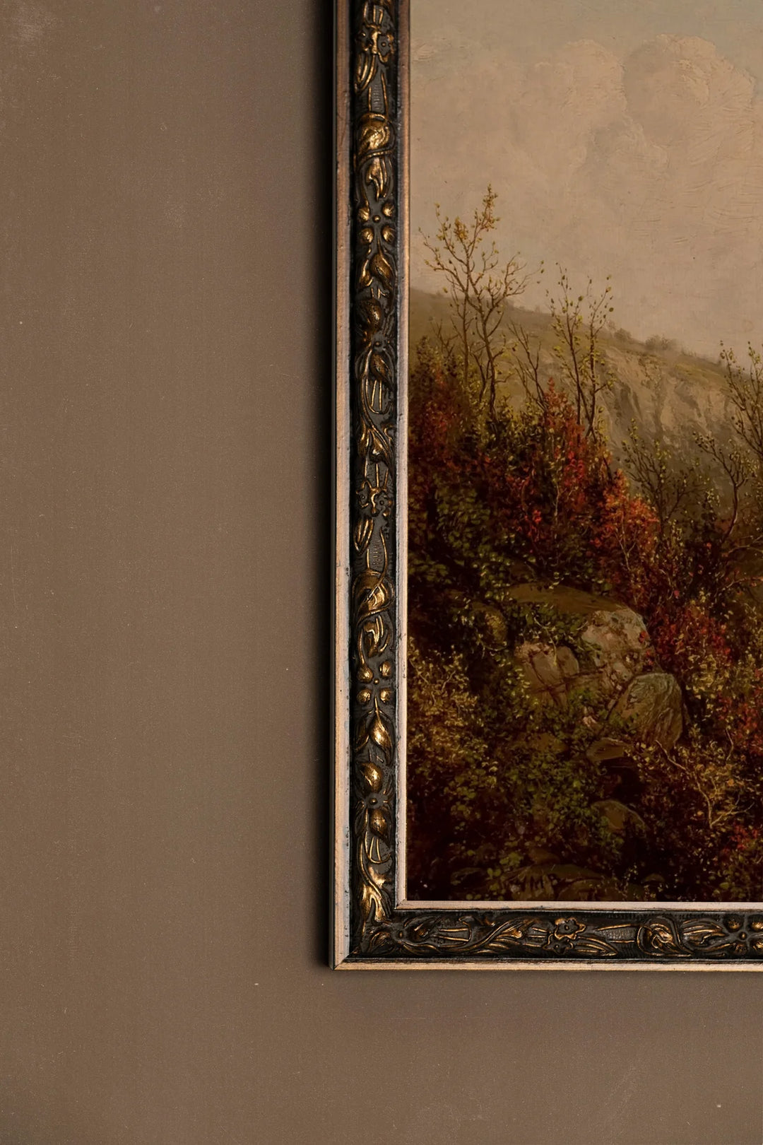 Toile Des Bois