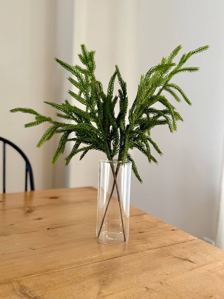 Norfolk and Cedar Bundles