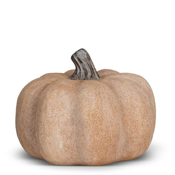 Autumn Pumpkin