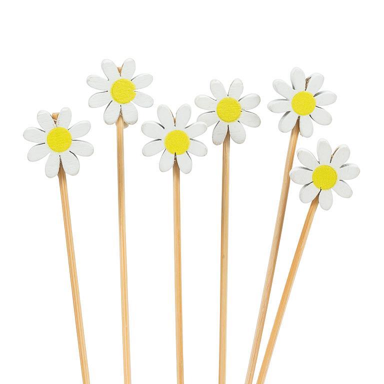 Daisy Picks