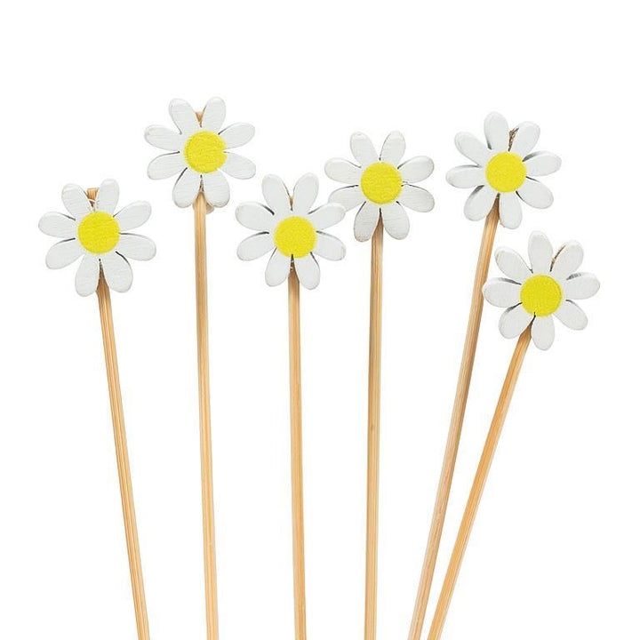 Daisy Picks