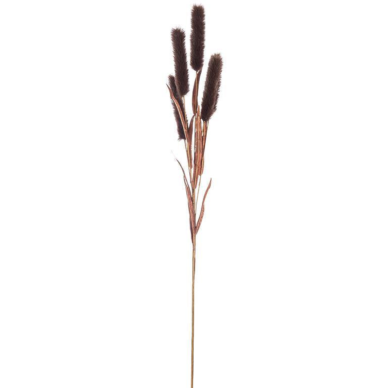 Bulrush Spray