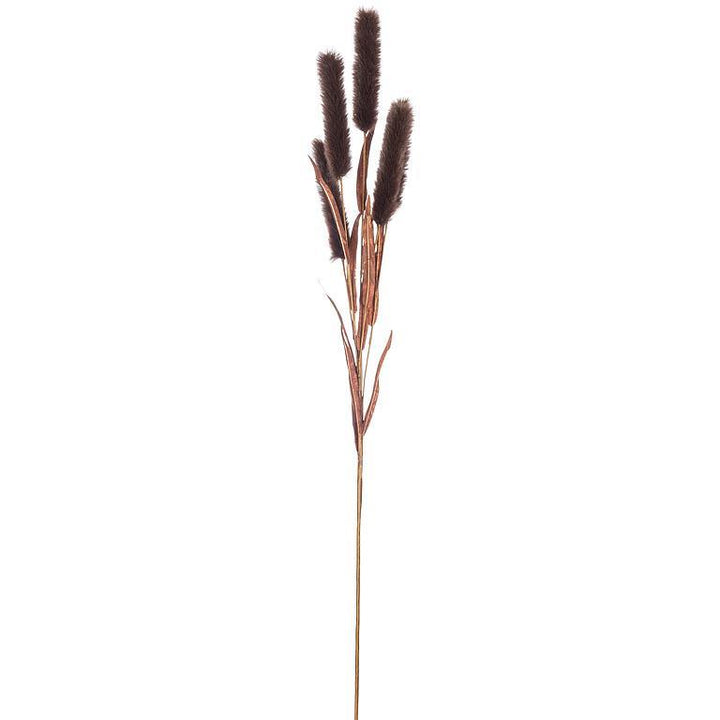 Bulrush Spray