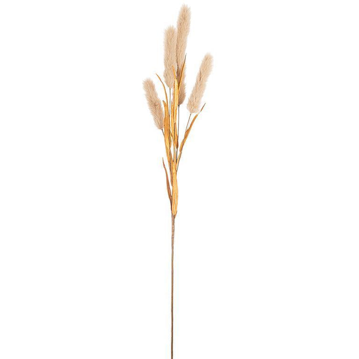Bulrush Spray