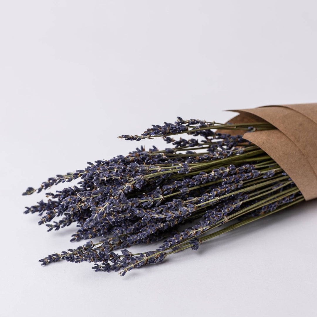 DriedLavender