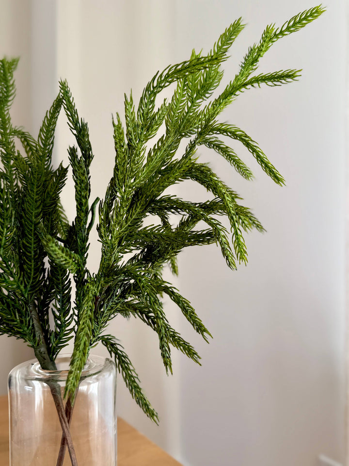 Norfolk and Cedar Bundles