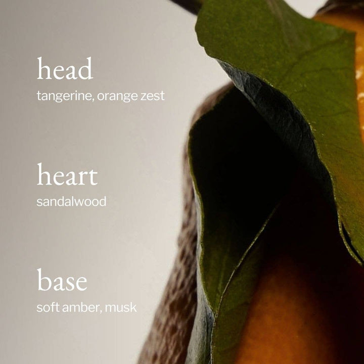 Body Milk | Tangerine, Sandalwood & Amber