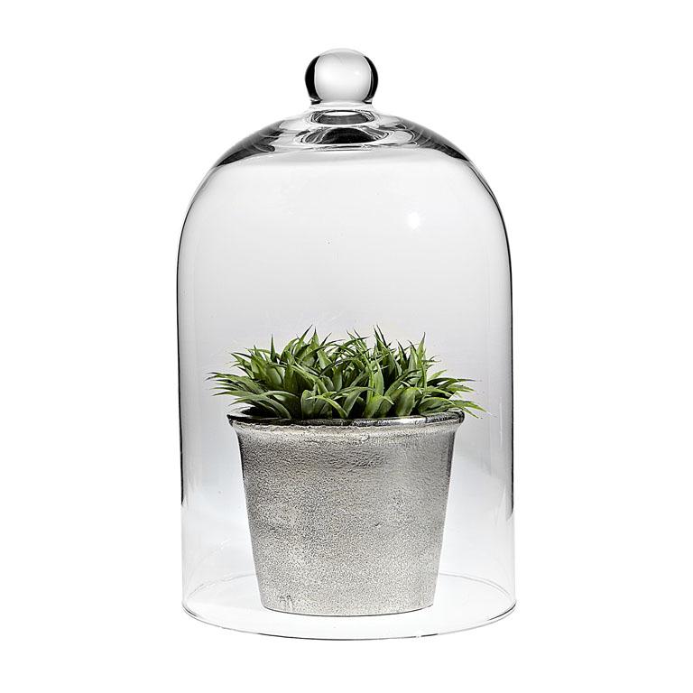 Cloche