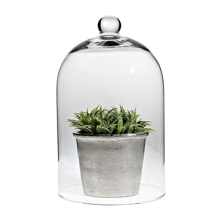 Cloche