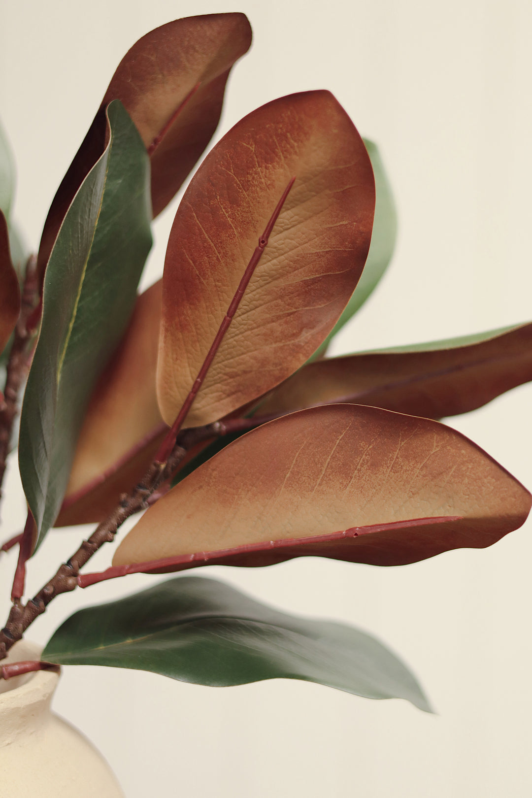 Magnolia Leaf Branch