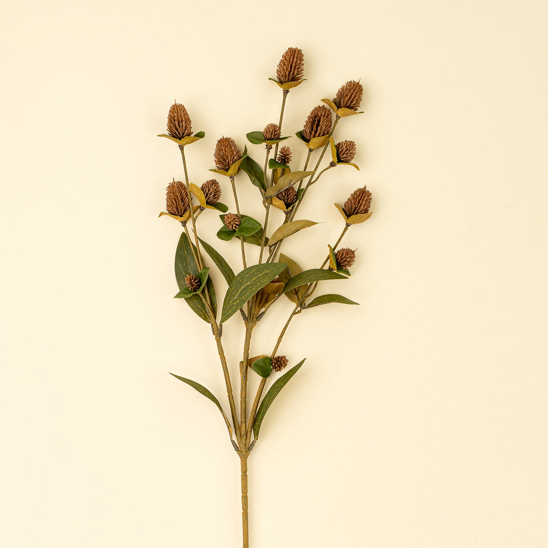 Globe Amaranth Spray