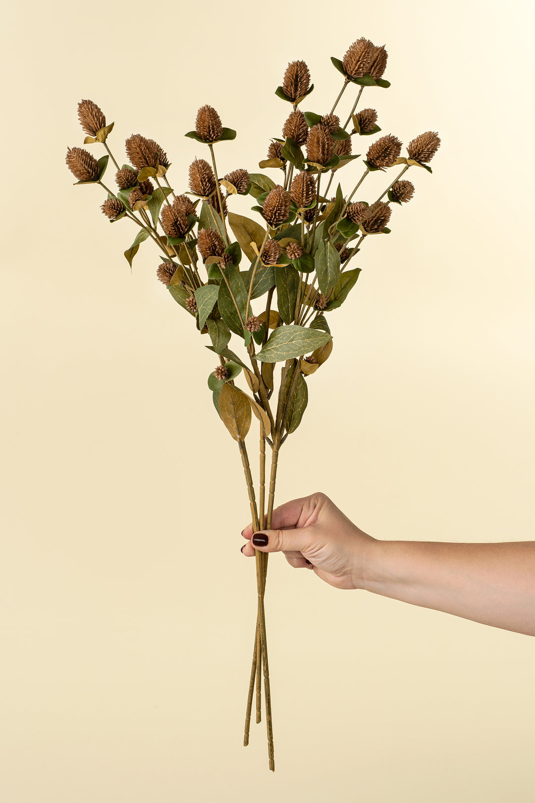 Globe Amaranth Spray