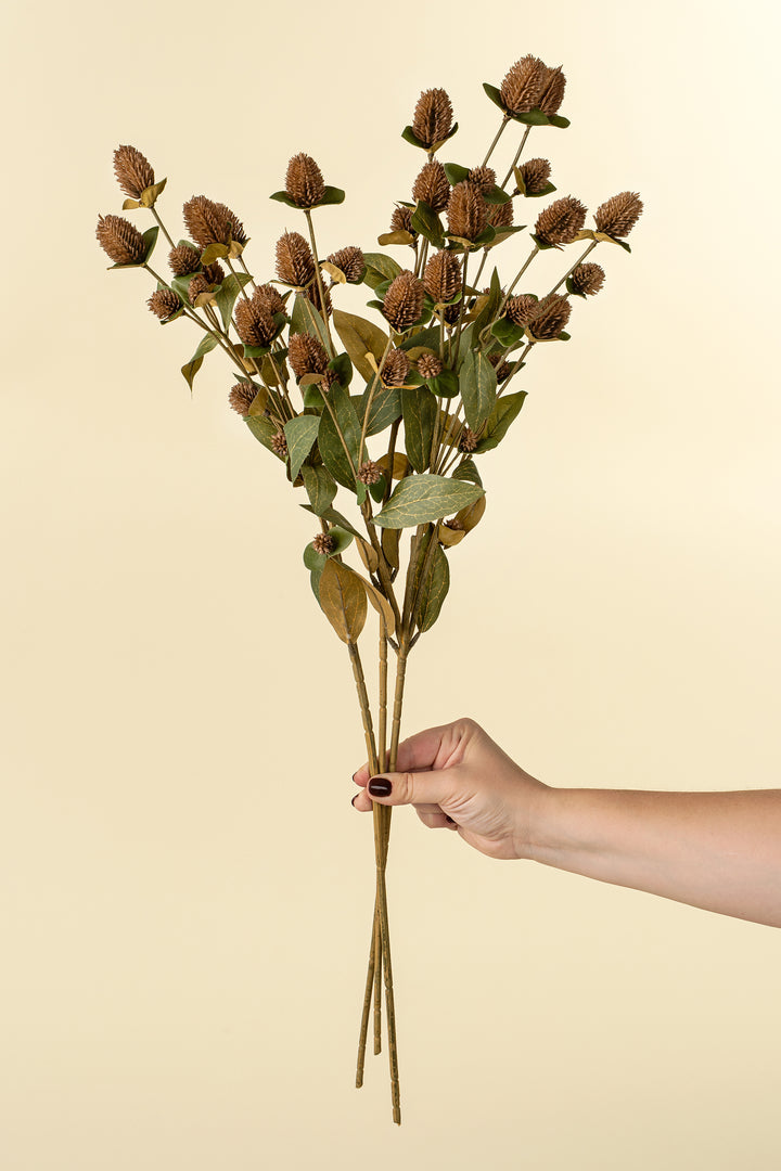 Globe Amaranth Spray