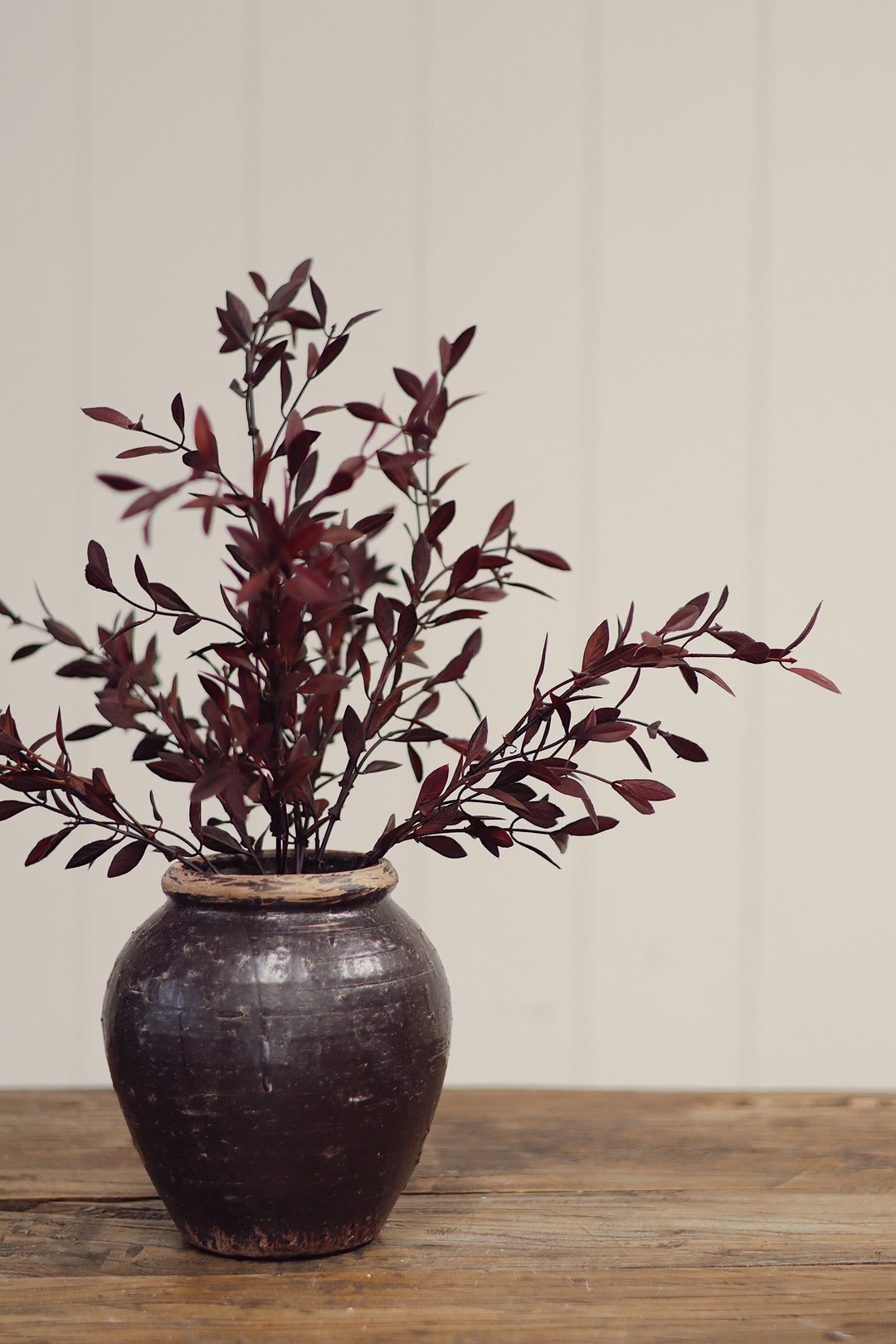 Willow Leaf Spray, Plum