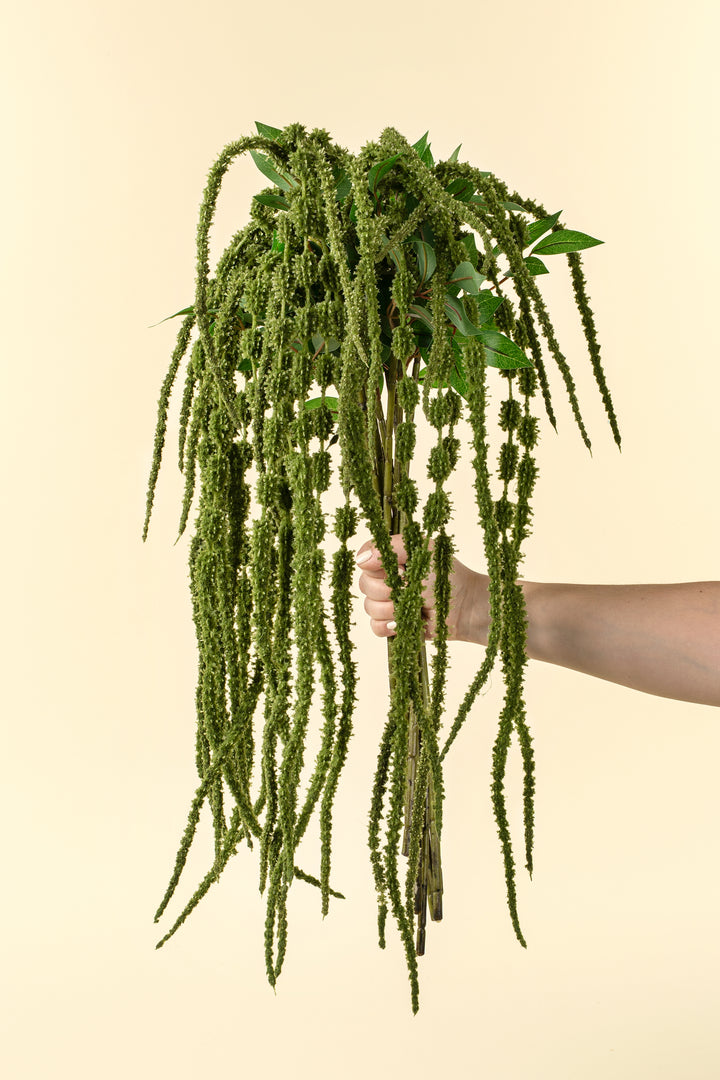 Green Amaranth Stem