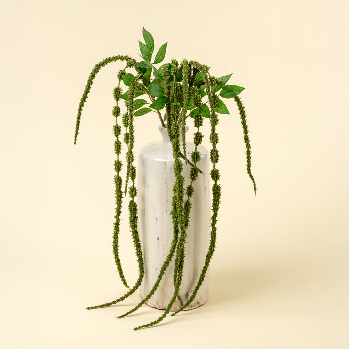 Green Amaranth Stem