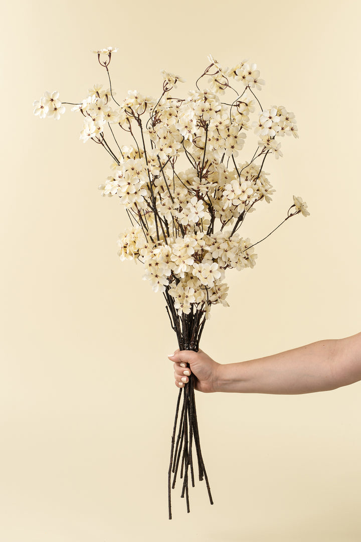 Pear Blossom Branch