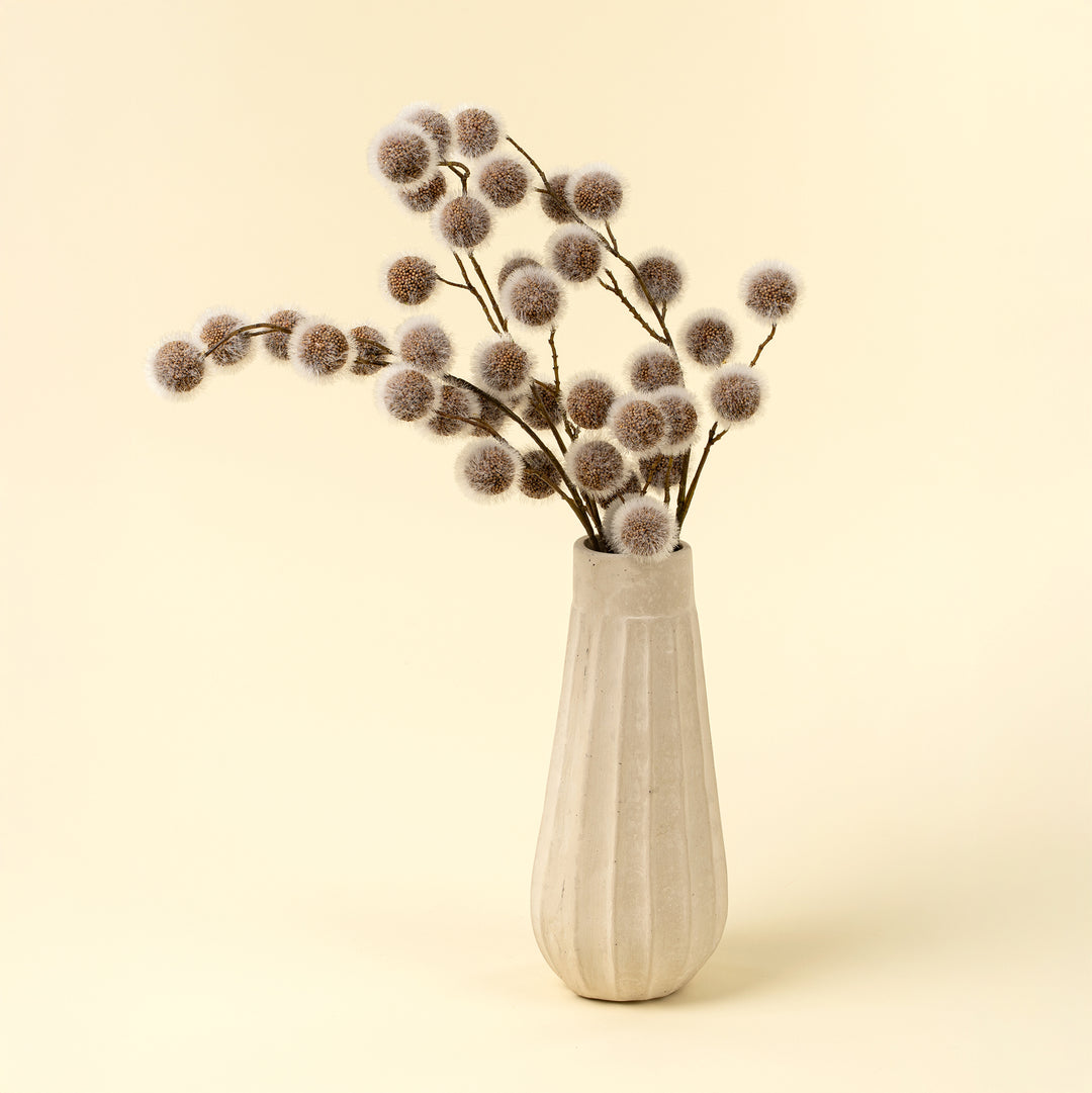 Sycamore Pod