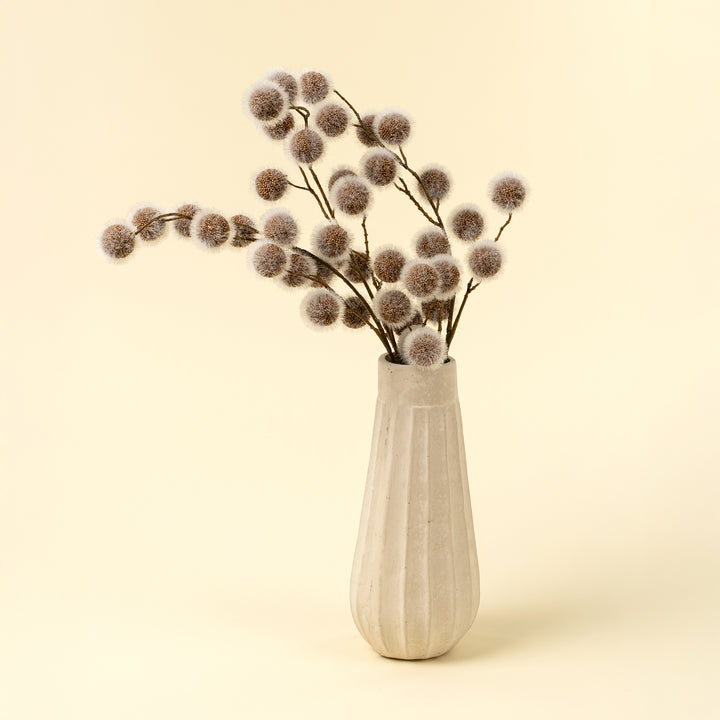 Sycamore Pod