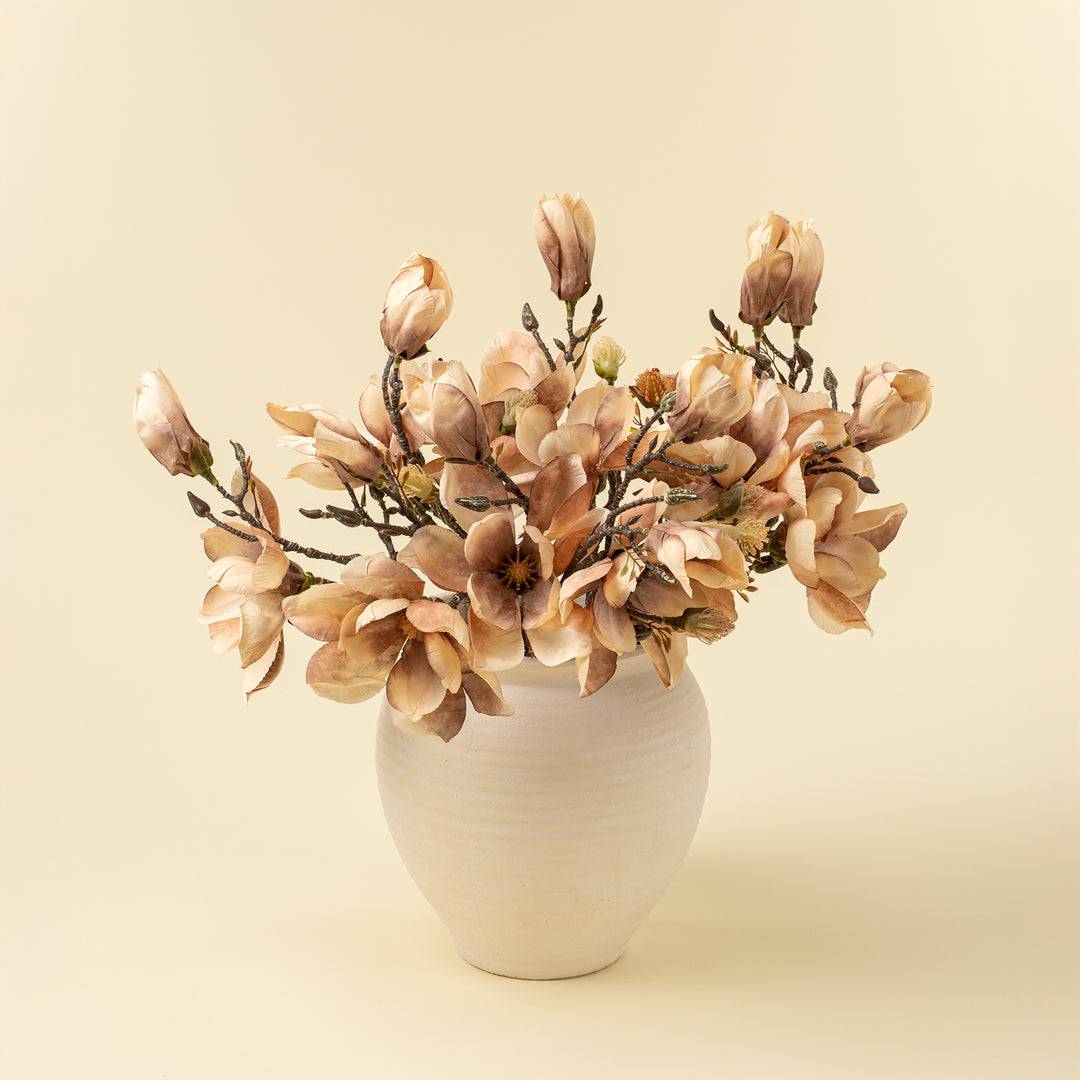Magnolia Branch