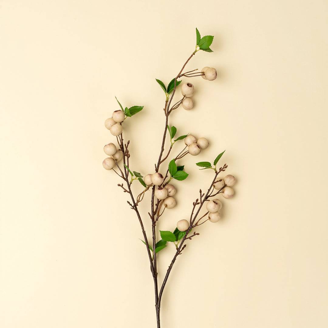Wild Apple Berry Spray