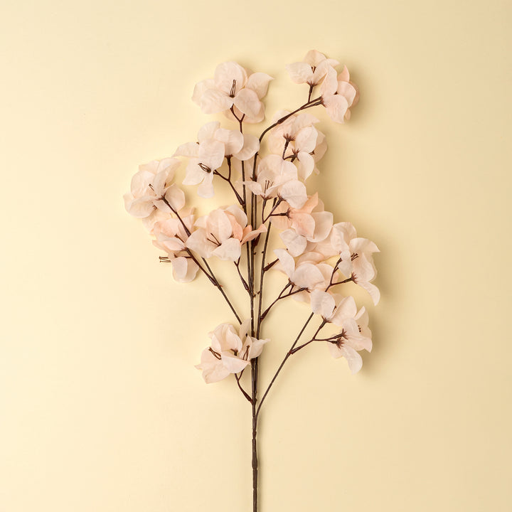 Bougainvillea Spray