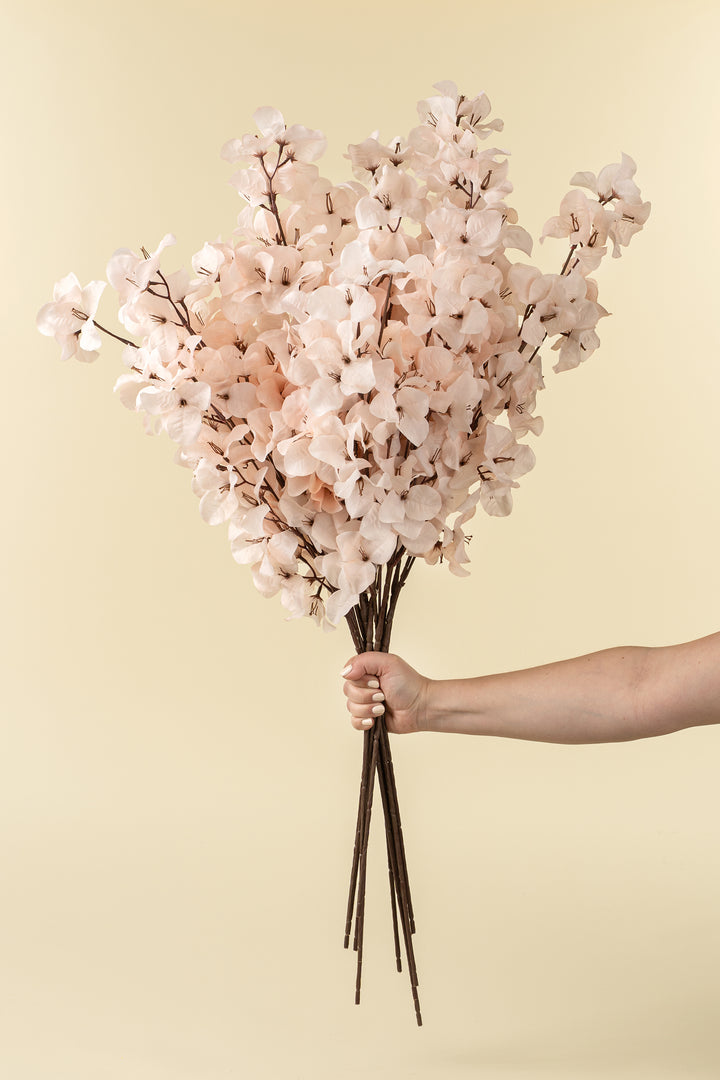 Bougainvillea Spray